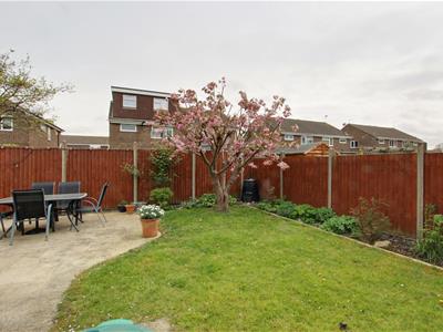 Picture 14